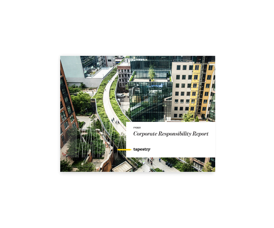 FY21 CR Report & Frameworks